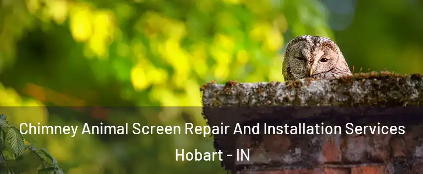  Chimney Animal Screen Repair And Installation Services Hobart - IN