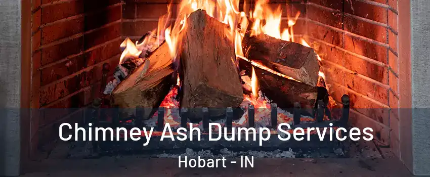  Chimney Ash Dump Services Hobart - IN