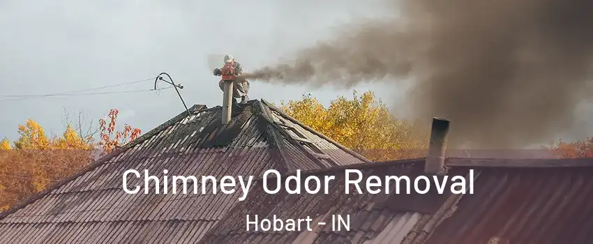  Chimney Odor Removal Hobart - IN