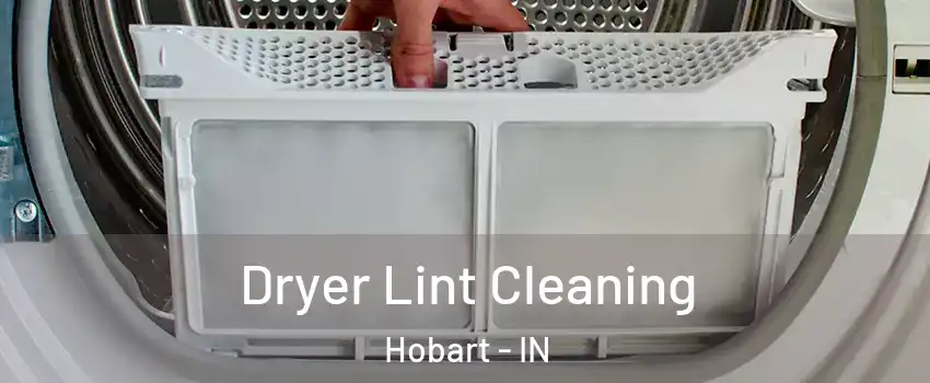  Dryer Lint Cleaning Hobart - IN