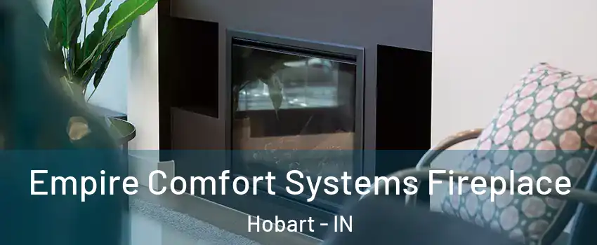  Empire Comfort Systems Fireplace Hobart - IN