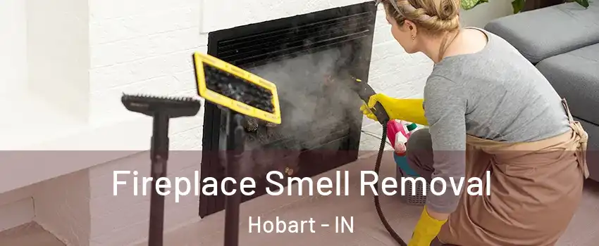  Fireplace Smell Removal Hobart - IN