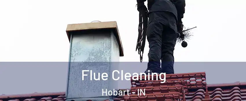  Flue Cleaning Hobart - IN