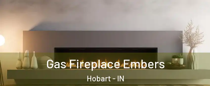  Gas Fireplace Embers Hobart - IN