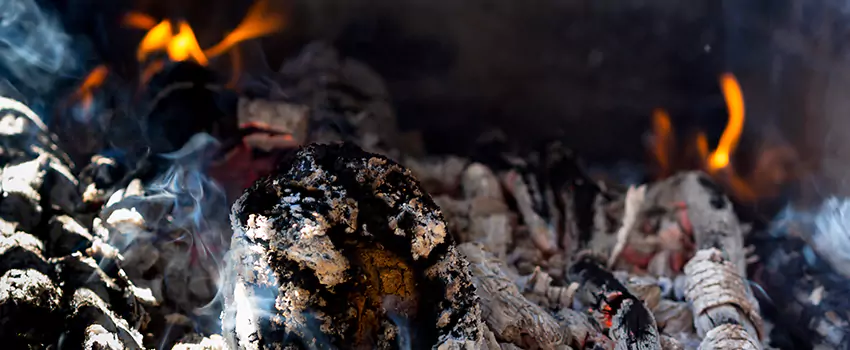 Creosote Removal Experts in Hobart, IN