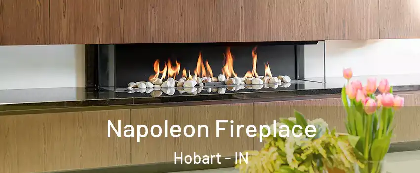  Napoleon Fireplace Hobart - IN