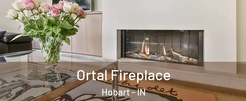  Ortal Fireplace Hobart - IN