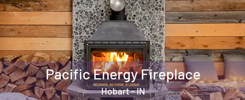  Pacific Energy Fireplace Hobart - IN