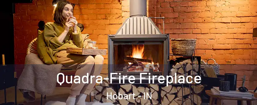  Quadra-Fire Fireplace Hobart - IN