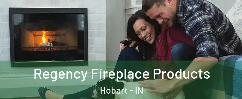  Regency Fireplace Products Hobart - IN
